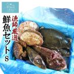 漁師さんの鮮魚セットS (2〜3kg目安) FishMarket38 気仙沼 唐桑 旬の鮮魚 お取り寄せ