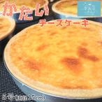 かたいチーズケーキ 5号(直径15cm) 500g シェ・ササキ お取り寄せ 着色料 保存料 不使用 スイーツ ギフト