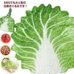  китайская капуста одеяло детская шляпа имеется костюм китайская капуста одеяло кормление накидка новый bo-n память фотосъемка новый bo-n фото покрывало симпатичный интересный 