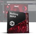 IK Multimedia ReSing MAX [メール納品]