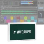 Steinberg WaveLab Pro 12 обычная версия (WaveLab/R)