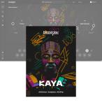 UJAM Beatmaker KAYA [メール納品][メーカープロモーション 10/11まで]