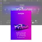 UJAM Beatmaker VICE 3 [メール納品][メーカープロモーション 5/31まで]