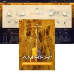 UJAM Virtual Guitarist AMBER 2 [メール納品][メーカープロモーション 5/31まで]