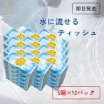 ショッピングティッシュペーパー 太洋紙業 水に流せるティッシュ ( 120組 (240枚) × 5個 ) ×12セット 水に流せるティッシュペーパー 日本製 業務用