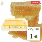 スイートハーベスト 豊産業 アカシアハニーコム 400g 巣蜜 コムハニー アカシア はちみつ ハチミツ honey