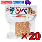 ヤマク テンペ 100g 20個 ヤマク食品 スパウトパック スパウト パック 個包装 小分け 大豆 大豆ミート