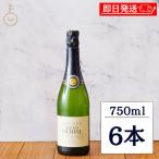 金賞受賞ワイン ベルーナ シュバリエ・アレキシ・リシーヌ 白 発泡 750ml 6本 白発泡 スパークリングワイン フランスワイン 金賞 受賞 デイリー ギフト 爆買