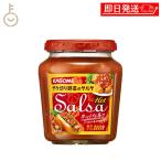 カゴメ サルサホット 240g 1個 サルサソース ディップ ノンオイル ローカロリー 野菜 トマト ピーマン たまねぎ ハラペーニョ にんにく ホットな辛さ 辛口 焼肉