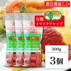 ショッピング光 光食品 トマトケチャップ 無添加 300g 3個 有機JAS