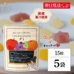 創健社 くせになるこだわりのグミ 1