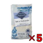 ショッピング塩 セルマランドゲランド ゲランドの塩 顆粒 1kg 5個 セルマランド ゲランド
