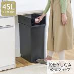 ショッピングダストボックス ふた付き 両開き[KEYUCAダストボックス LL ブラック ゴミ箱 45L KEYUCA ケユカ]