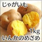 じゃがいも インカのめざめ 1kg 小粒 雪室熟成 北海道産