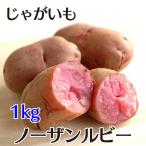 じゃがいも ノーザンルビー 1kg 訳あり 熟成 北海道産 ピンク色