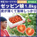 フルーツトマト ゼッピン娘 華おとめ 1.8kg  中玉ミニトマト 産地直送 発送日限定 送料無料