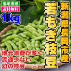 えだまめ 1kg 新潟県 長岡市産 産地直送