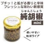 胡椒 こしょう 純胡椒 食べる胡椒 mini 17g 粒 生胡椒の塩漬け