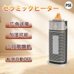 セラミックヒーター  ファンヒーター 小型 扇風機 首振り足元 省エネ 冷暖兼用 3段階調節 軽量 温冷風扇 速暖 電気ストーブ 転倒保護 暖房 湿潤加湿 大風量 2024