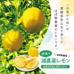 国産レモン ほぼ 無農薬 レモン 5kg 