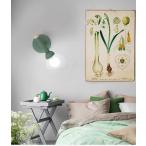 照明器具 ブラケットライト 壁掛け�