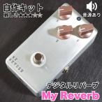 KGR Harmony цифровой * Reverb My Reverb собственное производство комплект 