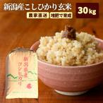 【10月再販予定】令和7年産 玄米 30kg 新潟県産 コシヒカリ 令和6年 新潟 こしひかり 米30kg 減農薬 農家 直送 生産者 送料無料 （一部地域を除く）