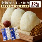 母の日 2025 米 ギフト 令和6年産 米 10kg 新潟県産 コシヒカリ 5kg×2袋 受注精米 白米 精米 甘い 減農薬 農家 直送 送料無料 (一部地域を除く)