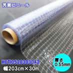 カット販売　糸入り透明ビニールシート　0.55mm×203cm幅　ハイパーカーテンHCTI05203030A2