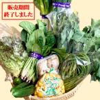 第56回　福島野菜おまかせセット　駅なか八百屋で人気の福島野菜