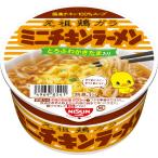 日清チキンラーメンどんぶりミニ 38g×12個