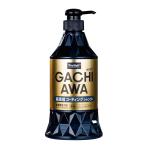 プロスタッフ(Prostaff) 洗車用品 カー