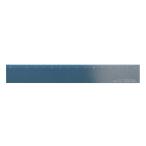 ラダイト 定規 THIS INDUSTRIAL A6063 Ruler ターコイズ/シルバー LDTI-AR-0725
