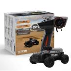 [ Япония стандартный товар ] высокий Tec турбо рейсинг C82 off-road машина черный after поддержка 2.4GHz.. засвидетельствование неисправность час замена возмещение японский язык информация 