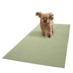  солнечный ko-.. только поглощение ... рекомендация домашнее животное коврик дезодорация защита 60×120cm зеленый GR длинный коврик загрязнения предотвращение [ сделано в Японии водоотталкивающий дезодорация ..