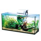 ショッピング水槽 テトラ (Tetra) ガラス 水槽 オールグラスアクアリウム GA-600F 水槽 アクアリウム 熱帯魚 メダカ 金魚