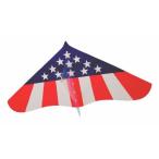 a...(Aozora)geila кайт american 