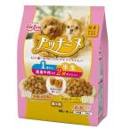 日清ペットフード プッチーヌ 半生 1歳から 国産牛肉入り 200g