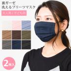 洗える プリーツマスク 2枚セット 血色マスク 血色カラー 2点までメール便対象 送料無料  大人用 子供用 キッズ 洗える ガーゼ メンズ レディース