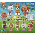 パウ・パトロール フィギュアキーチェーン3 全5種セット (ガチャ ガシャ コンプリート)