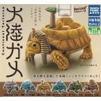 大陸ガメ 全6種セット (ガチャ ガシャ コンプリート)