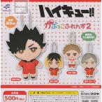 ハイキュー！！かぷっこふれんず2 全4種セット (ガチャ ガシャ コンプリート)