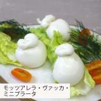  Joy elamotsuarela*vaka* Mini bla-ta150g(50g×3) mozzarella cheese vacca Италия производство ..... creamy 