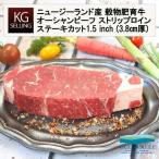 【不定貫】ニュージー