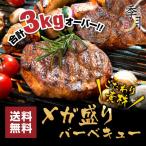 ショッピング牛 バーベキュー メガ盛りセット 牛カルビ 厚切りハラミ ホルモン 豚肉 鶏肉 合計3kg 送料無料 約10人前