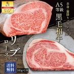 牛肉 肉 和牛 A5等級 リブロースステーキ 大判ステーキ 母の日 2024 贈答にも(300g×2枚) 送料無料 ギフト