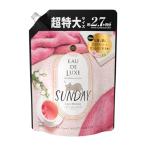 レノア オードリュクス 柔軟剤 マインドフルネスシリーズ サンデー つめかえ 超特大サイズ 1010mL