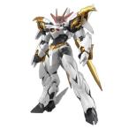 HG Amplified IMGN 魔神英雄伝ワタル 龍王丸 色分け済みプラモデル