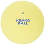 ナガセケンコー(KENKO) ケンコーボール ナガセケンコー ケンコーソフトテニスボール スタンダード イエロー 2個 TSSY-V