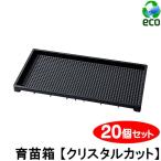 育苗箱 苗箱 苗 肥料 根 根離れ 通水性 種 たね タネ さし木 さし芽 挿し木 種まき / 育苗箱 クリスタルカット 20個セット 重ね用溝付き 580×280×34mm